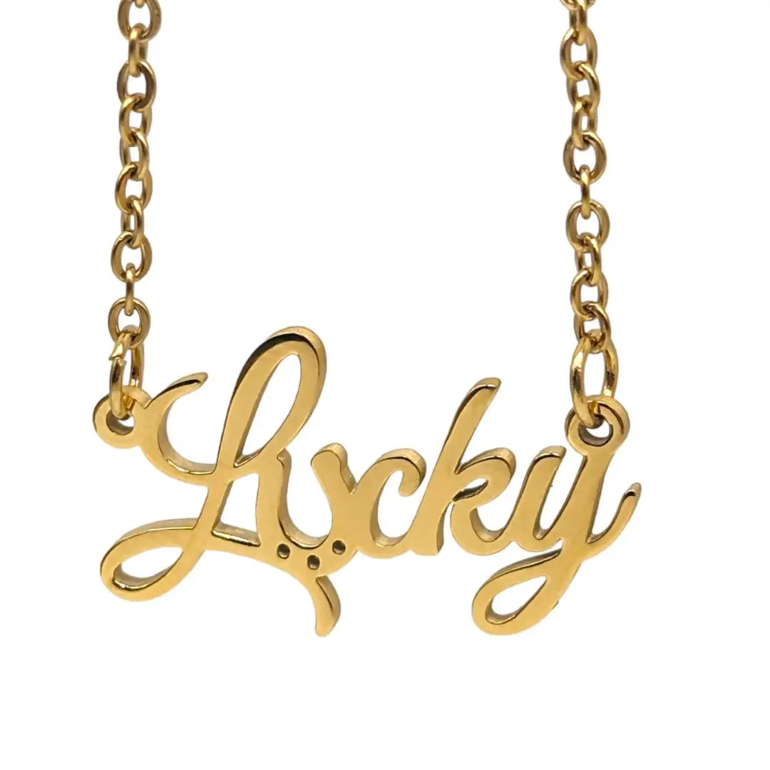 Lucky western necklace
