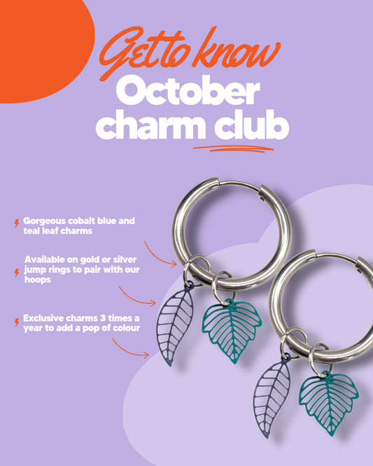 Trend Tonic Charm Club Subscription Box