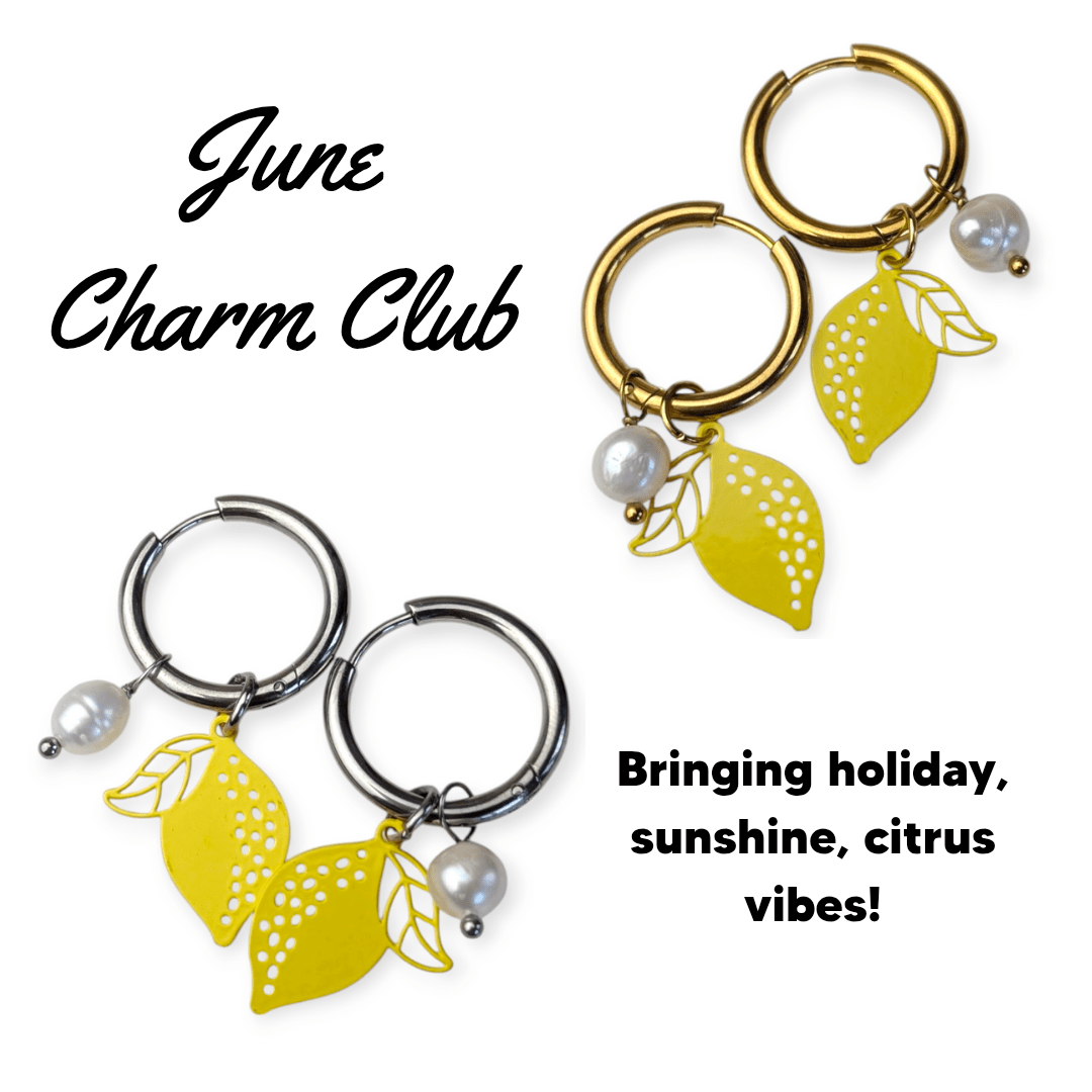 Trend Tonic Charm Subscription Box - Trend Tonic