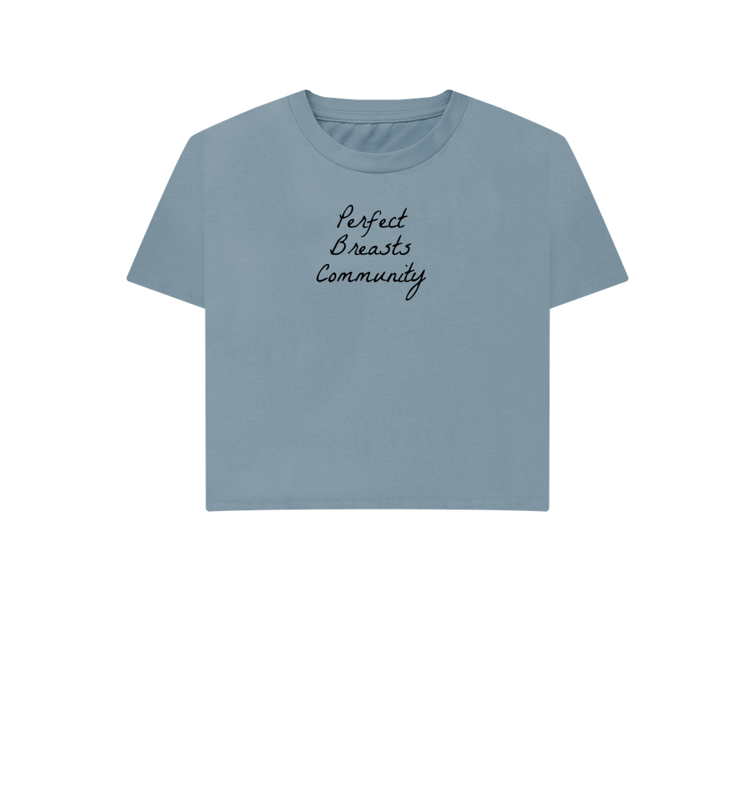 Stone Blue Printed T-shirt Front