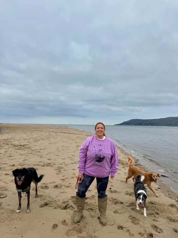 The reader skeleton tarot sweatshirt - Trend Tonic