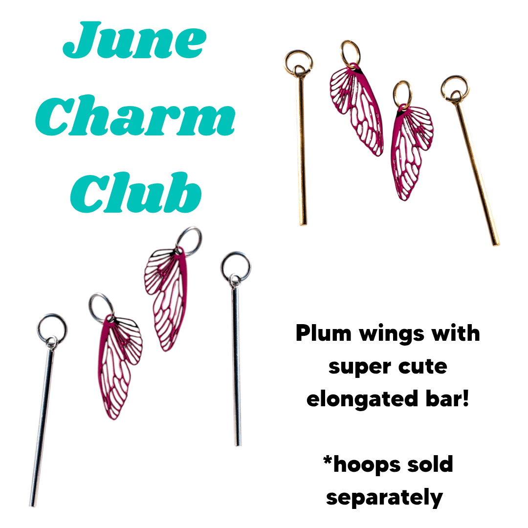 Trend Tonic Charm Club Subscription Box - Trend Tonic