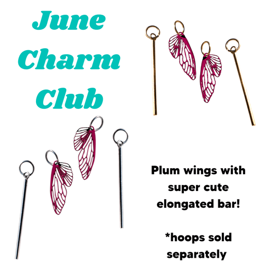 Trend Tonic Charm Club Subscription Box - Trend Tonic