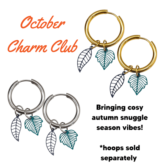 Trend Tonic Charm Club Subscription Box - Trend Tonic